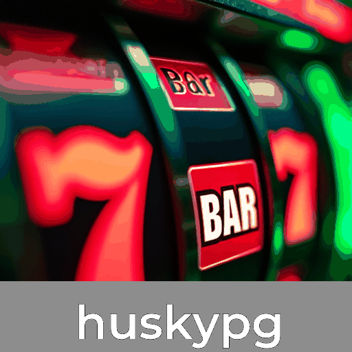 Experiência Real no VIP Casino huskypg